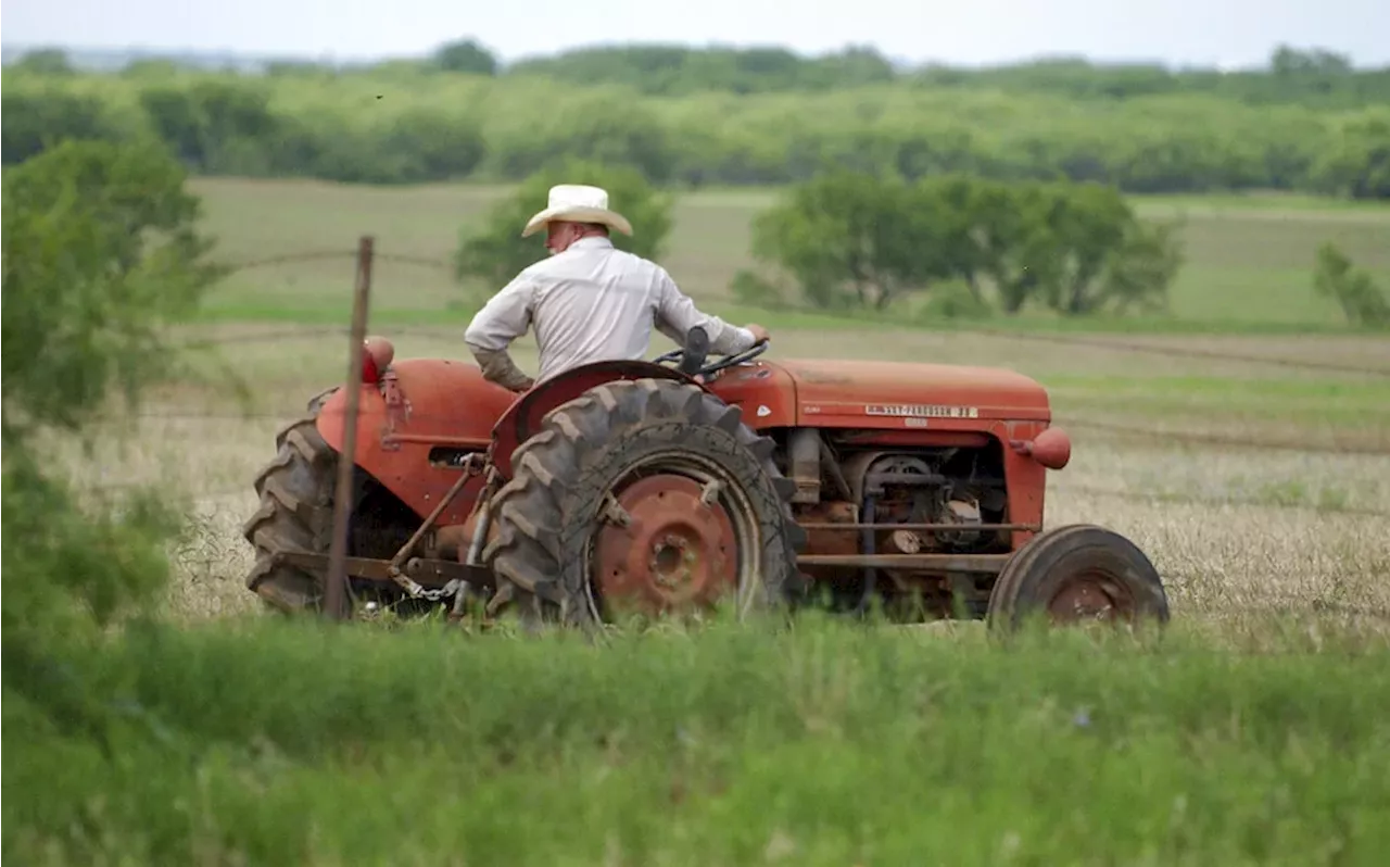 Celina, Texas: Growth and Challenges in a Booming Small City