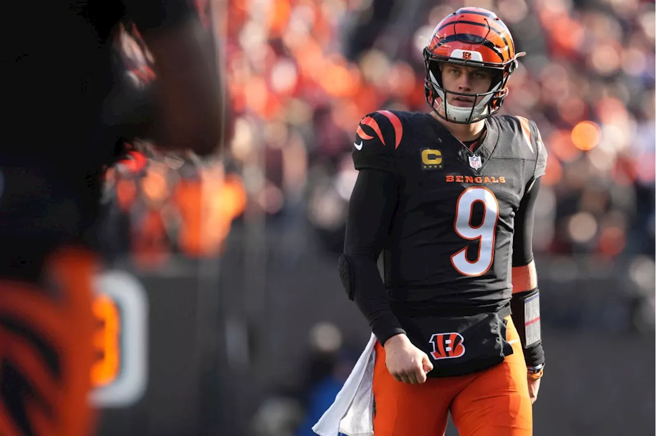 Bengals' Burrow Blazes a Trail in the NFL