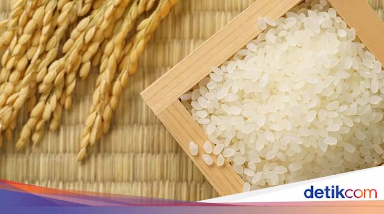 Beras Premium Lokal Tidak Kena PPN 12% Mulai 2025