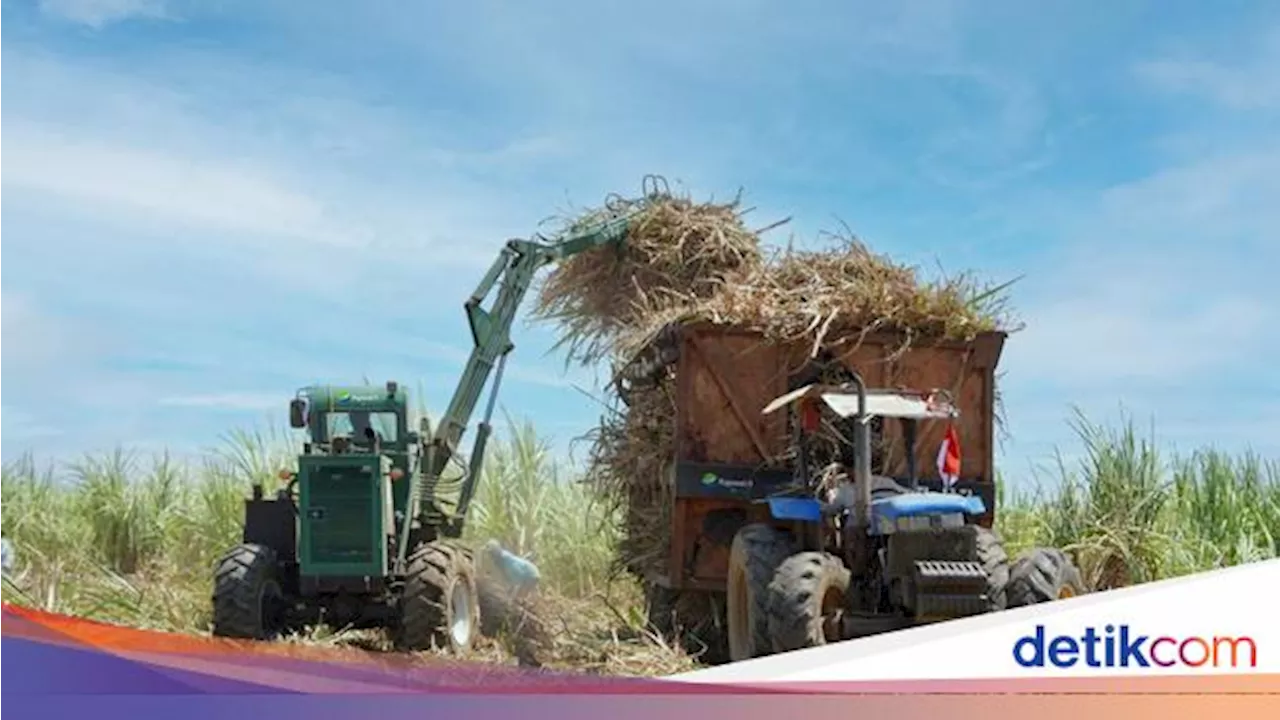 Holding BUMN Pangan Fokus Geber Produksi Gula Tahun Depan