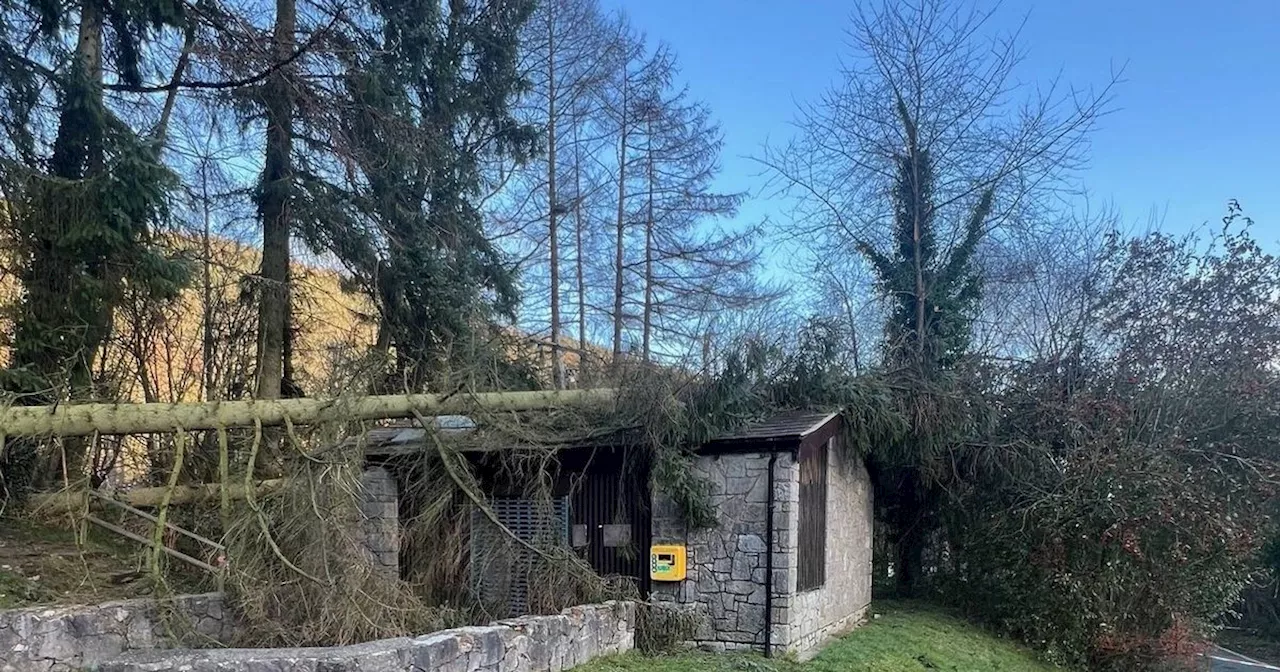 Safety Concerns Prompt Closure of Public Woodlands in Wales Following Storm Damage