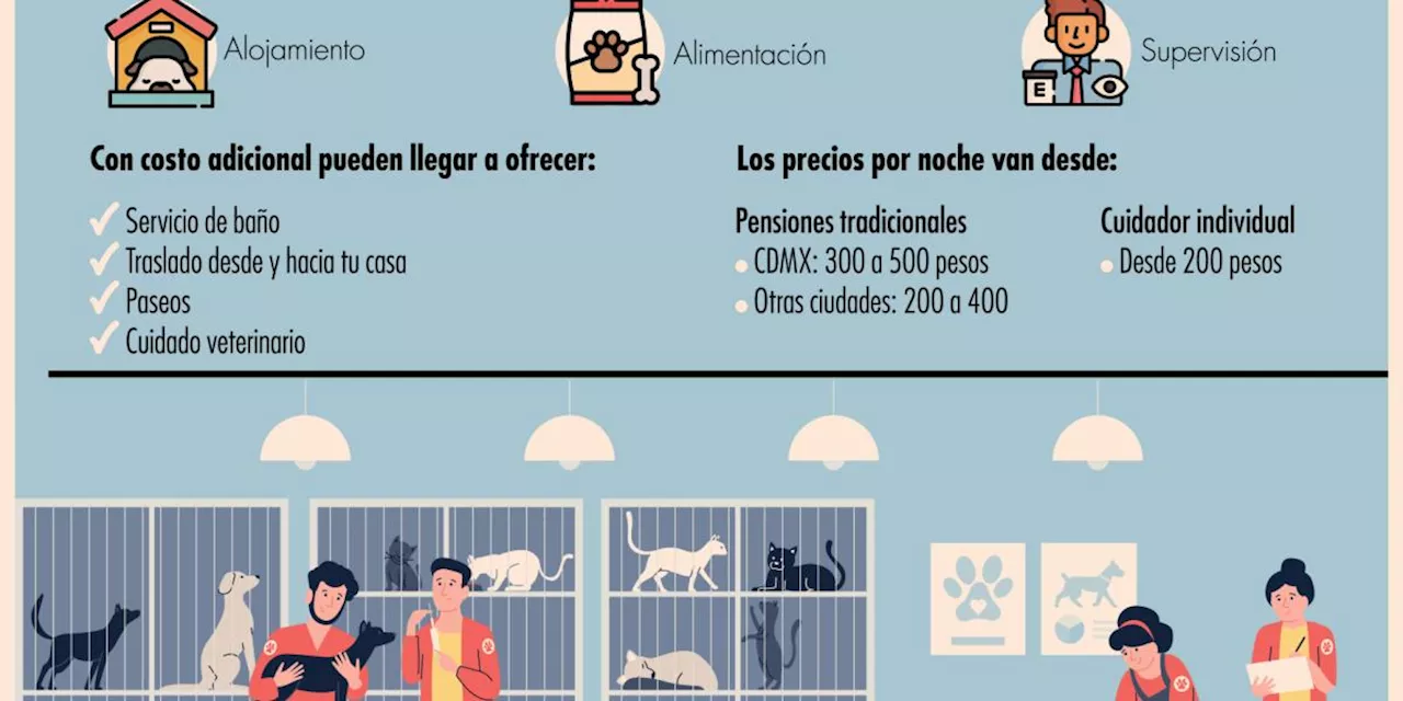 Elegir la Pensión Ideal para tu Mascota