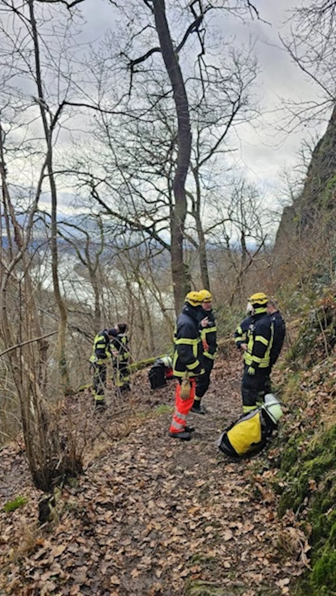 Drachenfels bei Bonn: Ermittlungen nach Knochenfund