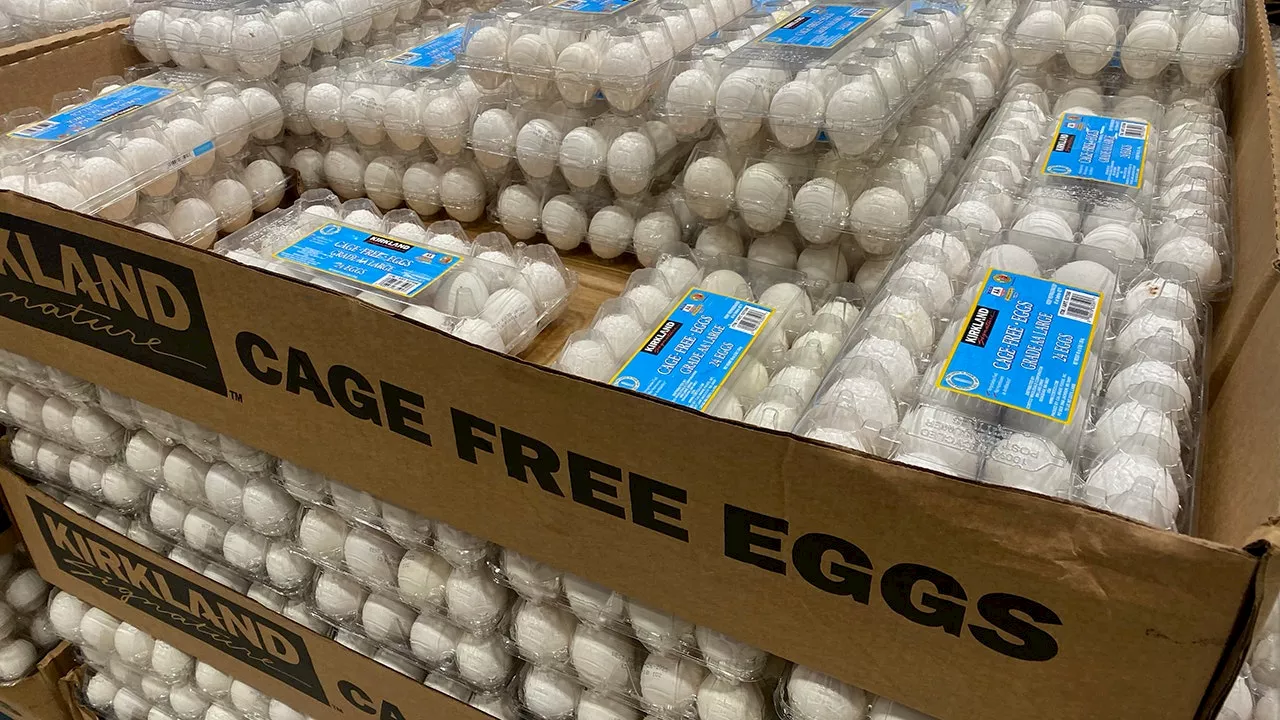 FDA Issues Highest Risk Recall for Contaminated Eggs Sold at Costcos