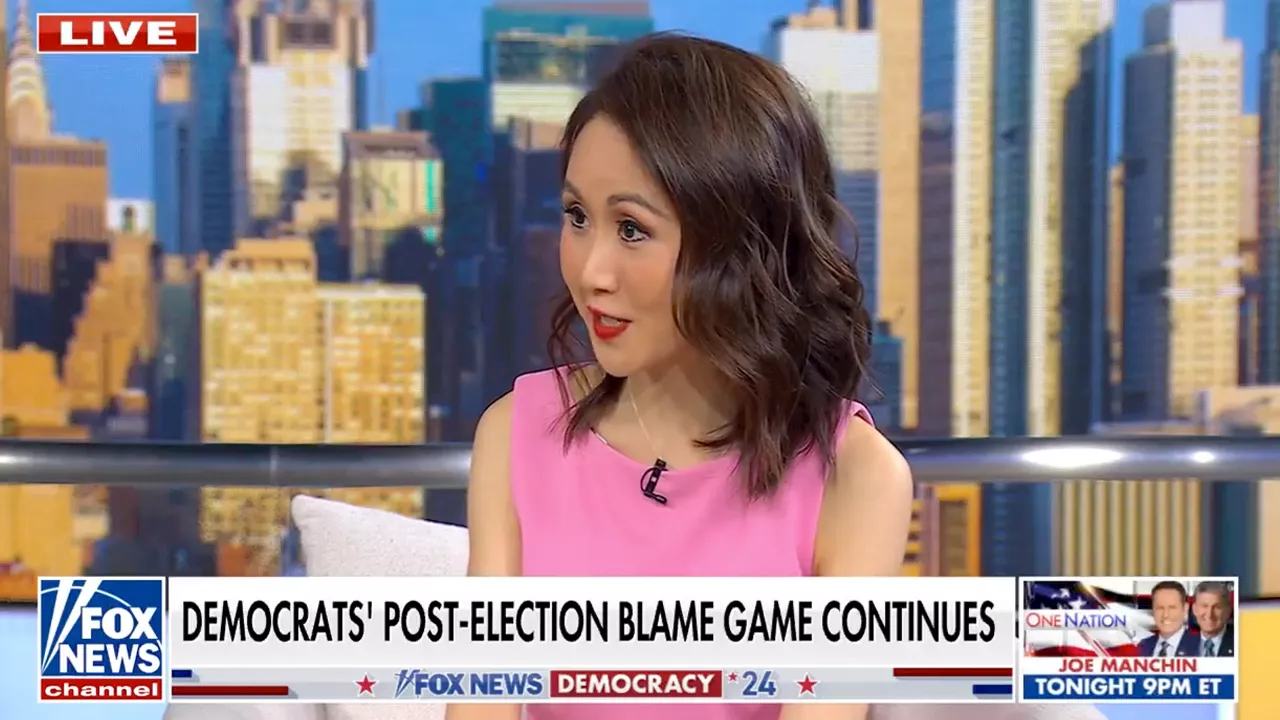 DNC Fundraiser Leaves Party, Calls It a 'Cult' After Attack for Criticizing Harris