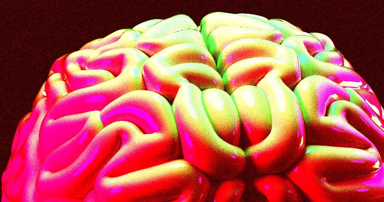 Human Brain's Processing Speed Is Shockingly Slow