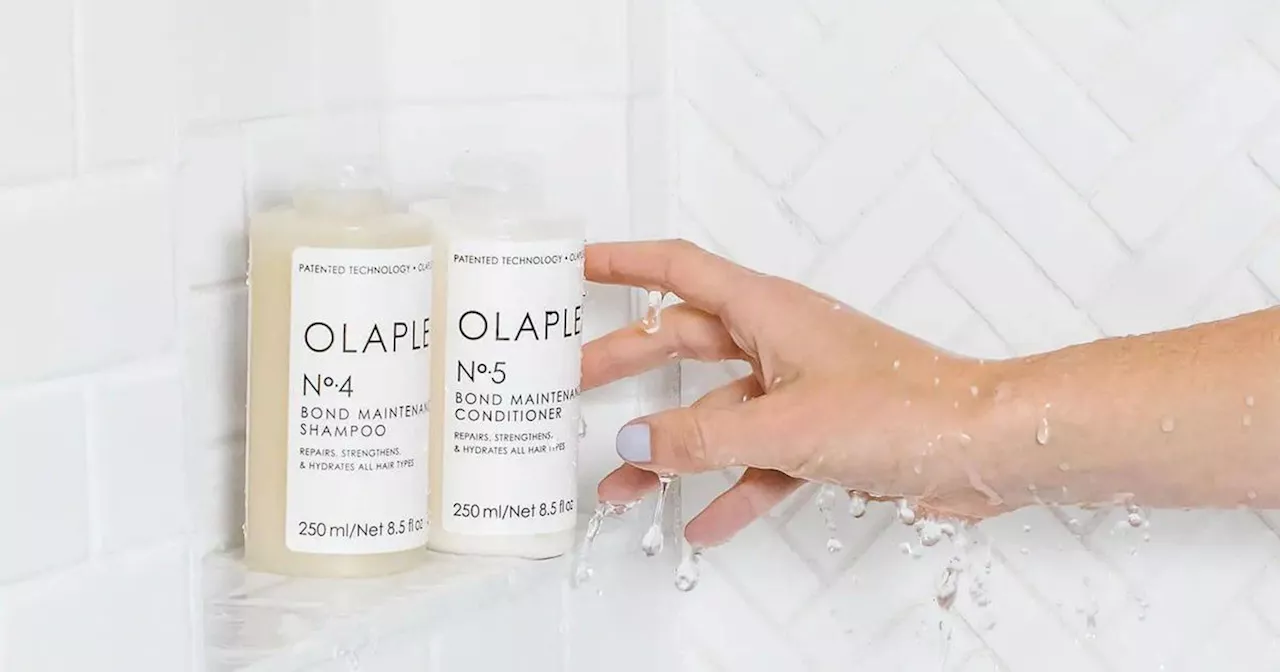 Olaplex No.5 Bond Maintenance Shampoo and Conditioner on Sale at Debenhams