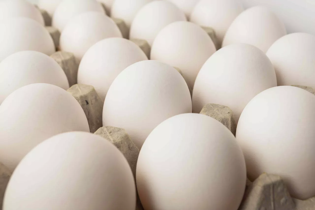 FDA Upgrades Egg Recall to Class 1 Due to Salmonella Risk