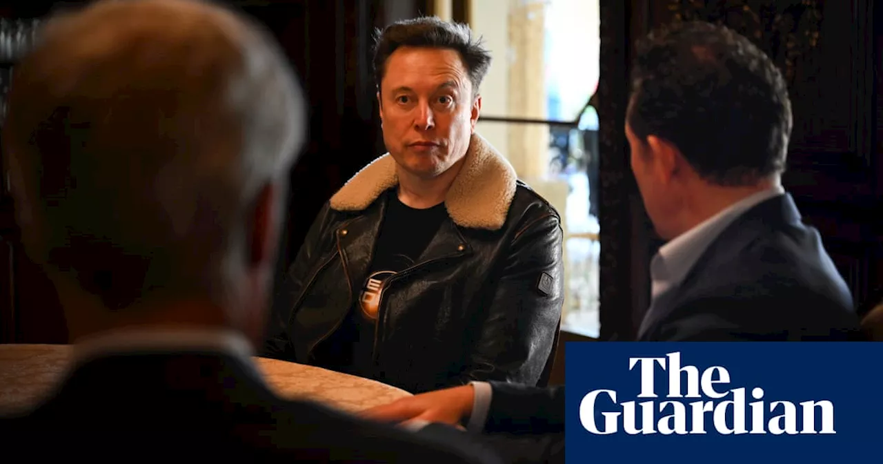 Elon Musk among billionaires set to donate to Reform UK, says treasurer