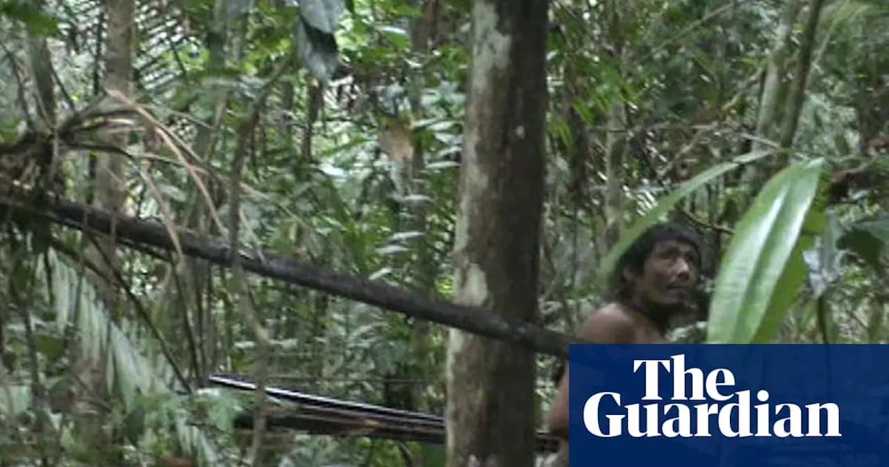 Veteran Searches for Isolated Tribe in Brazilian Amazon