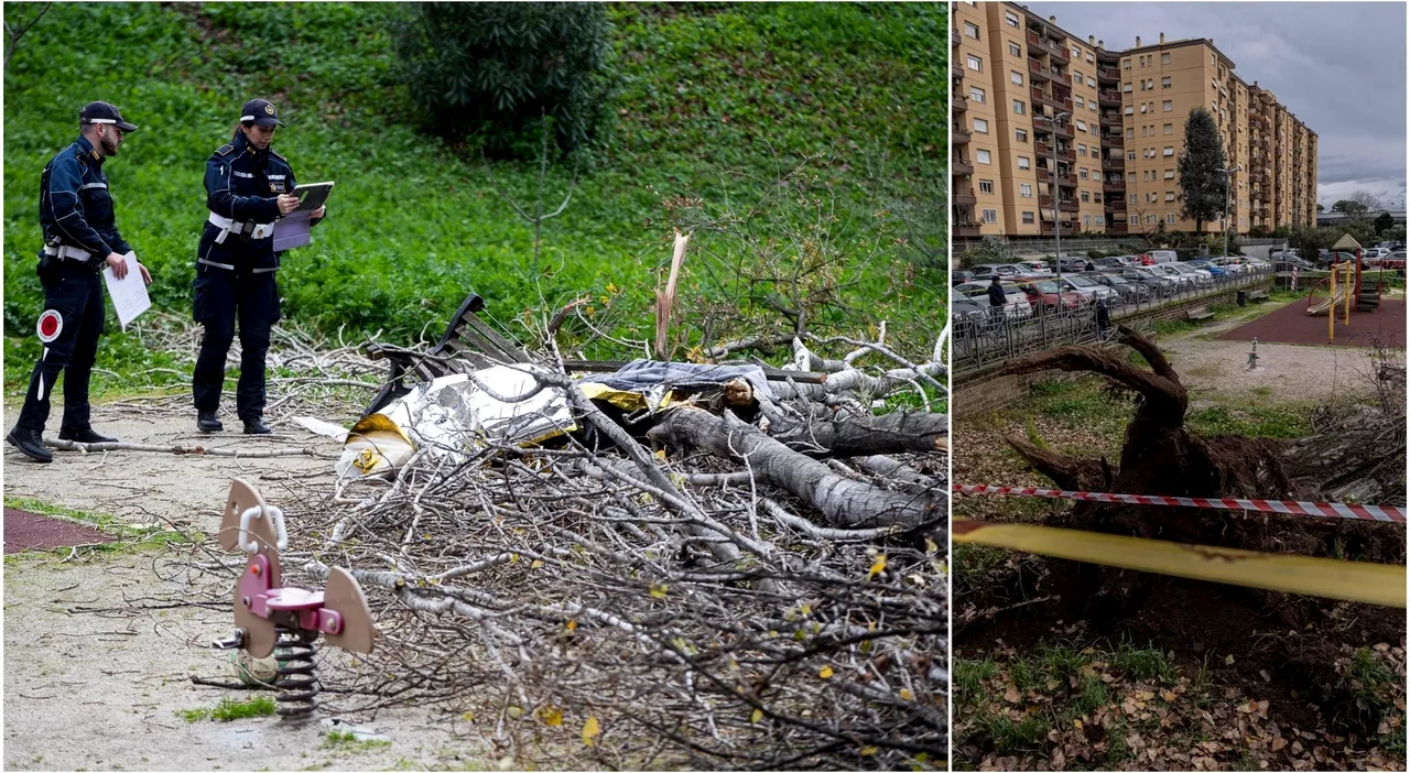 Tragedia a Roma: donna muore schiacciata da un albero in un parco