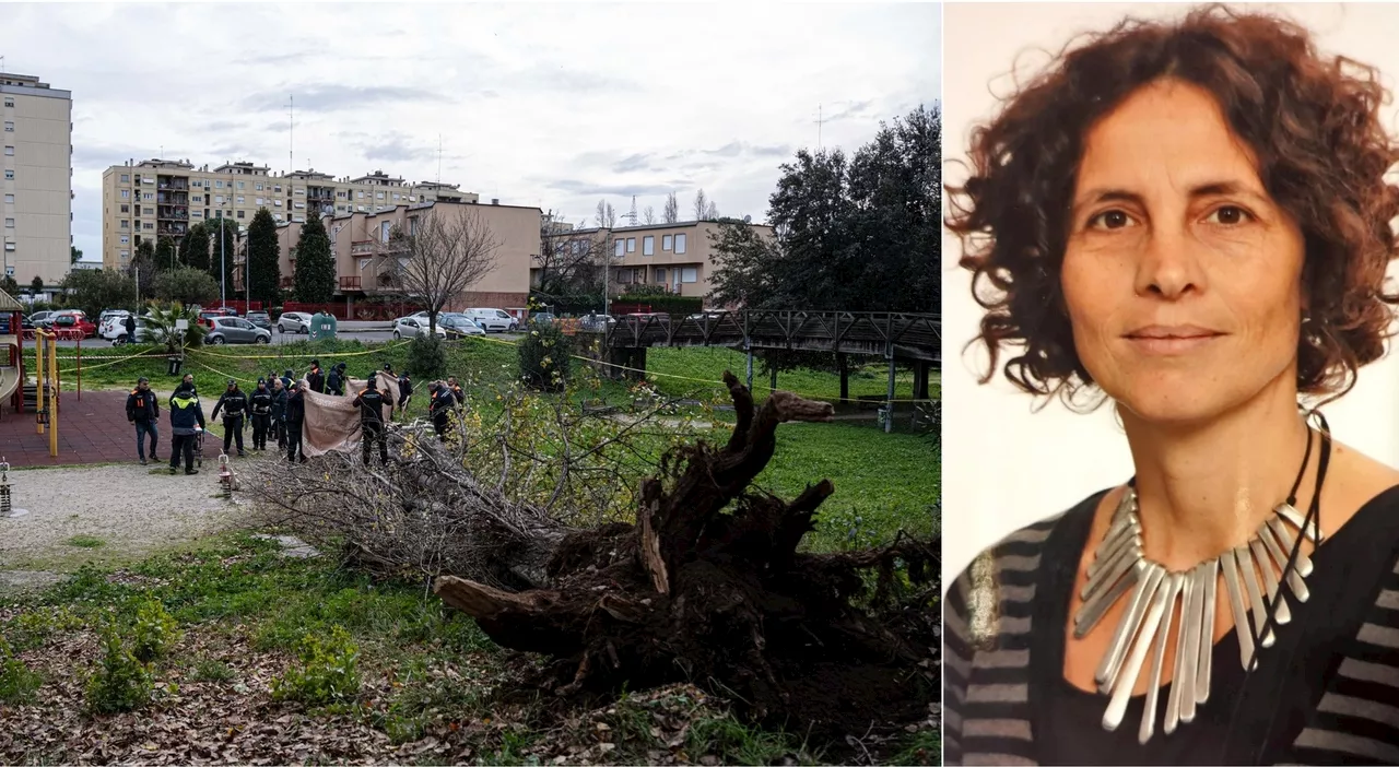 Tragedia a Roma: donna schiacciata da un albero in parco