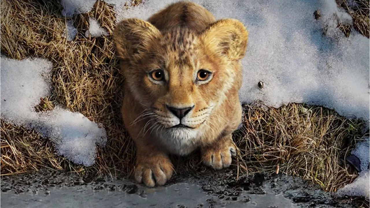 Mufasa: Una Precuela que Profundiza en la Historia del Rey León