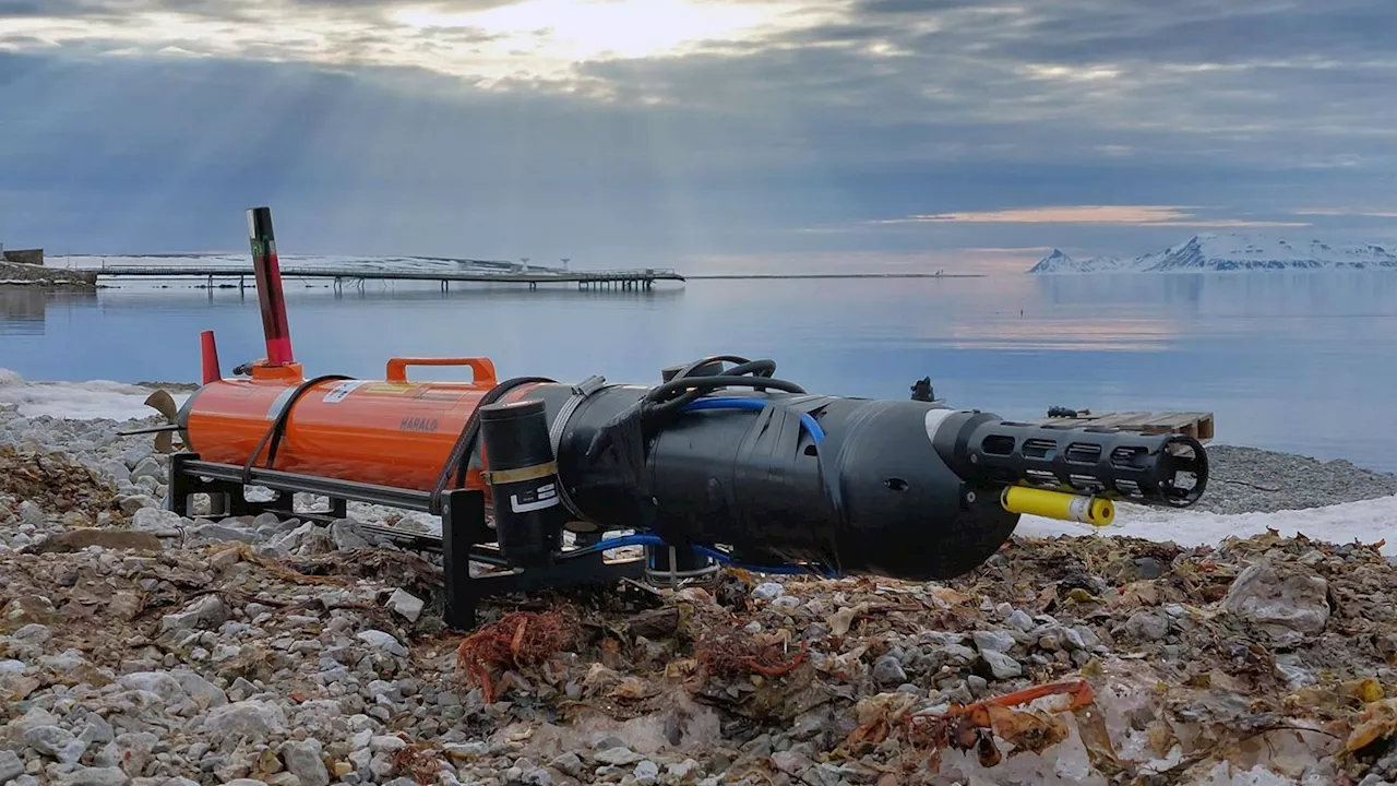 Underwater robot drone packed with 100-year-old tool unravels secrets of Arctic algal blooms