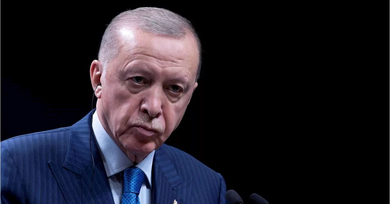 اردوغان: ترکیه در حال گفت‌وگوی نزدیک با احمد الشرع است