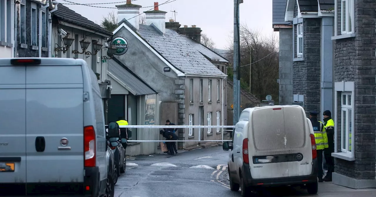 Dozens of extra gardaí assigned to Rathkeale after mother killed in hit-and-run incident