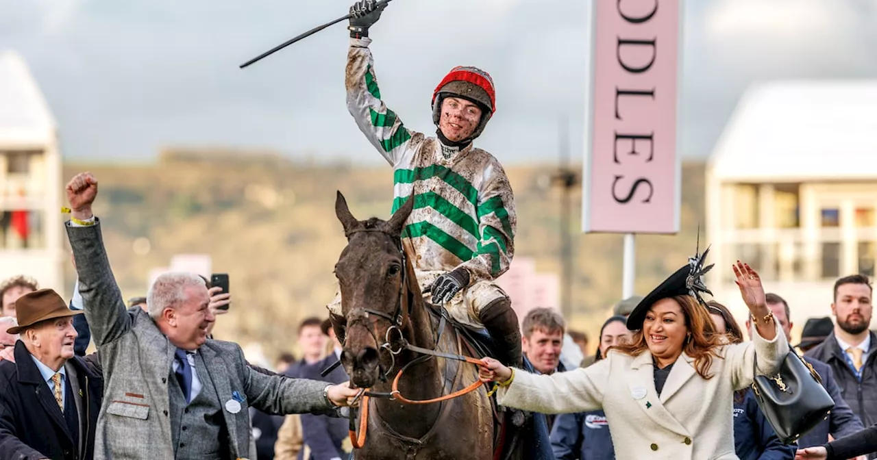 Mullins Dominates Christmas Racing but Faces Grade One Challenge