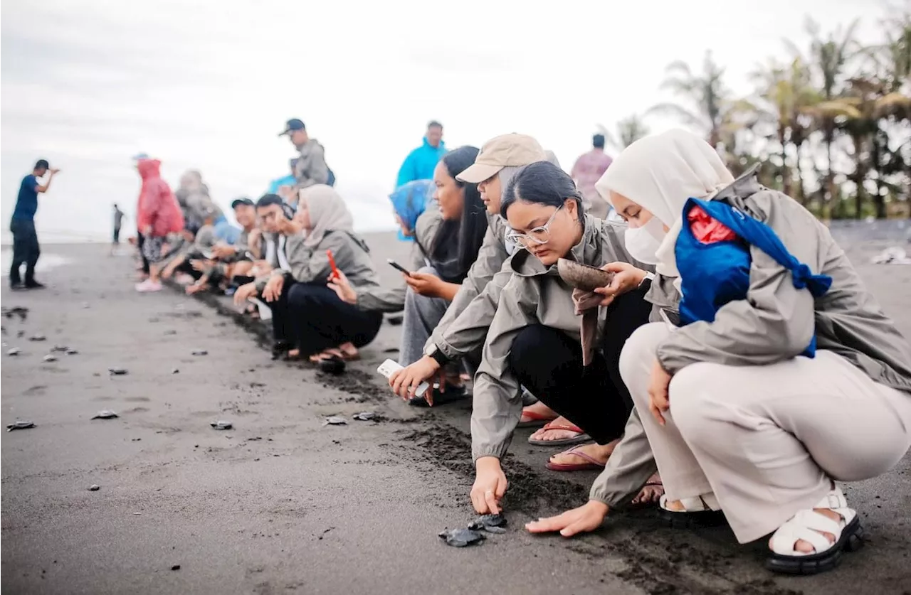 Peruri Lepaskan Tukik Penyu di Bali untuk Melestarikan Lingkungan