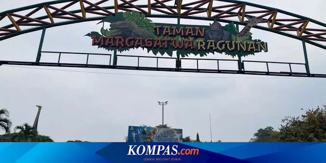 Jam Buka dan Harga Tiket Masuk Ragunan Zoo Selama Libur Nataru 2024/2025