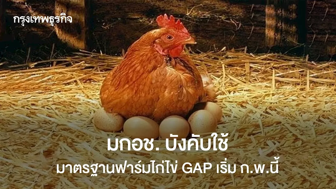 มกอช. บังคับใช้มาตรฐานฟาร์มไก่ไข่ GAP เริ่ม ก.พ.นี้