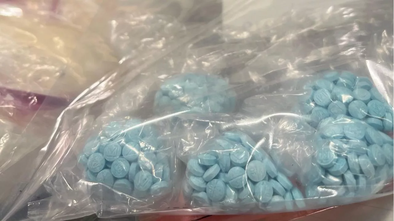 Man Arrested With Nearly 100,000 Fentanyl Pills in Utah