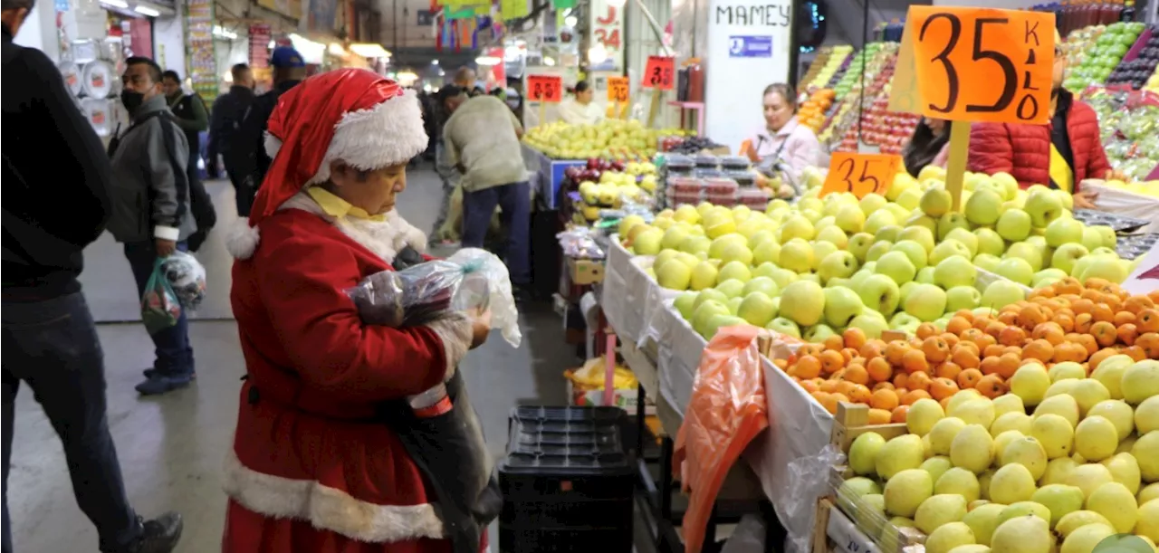 Inicia temporada de romeritos en la Central de Abasto: más de 3 mil toneladas disponibles