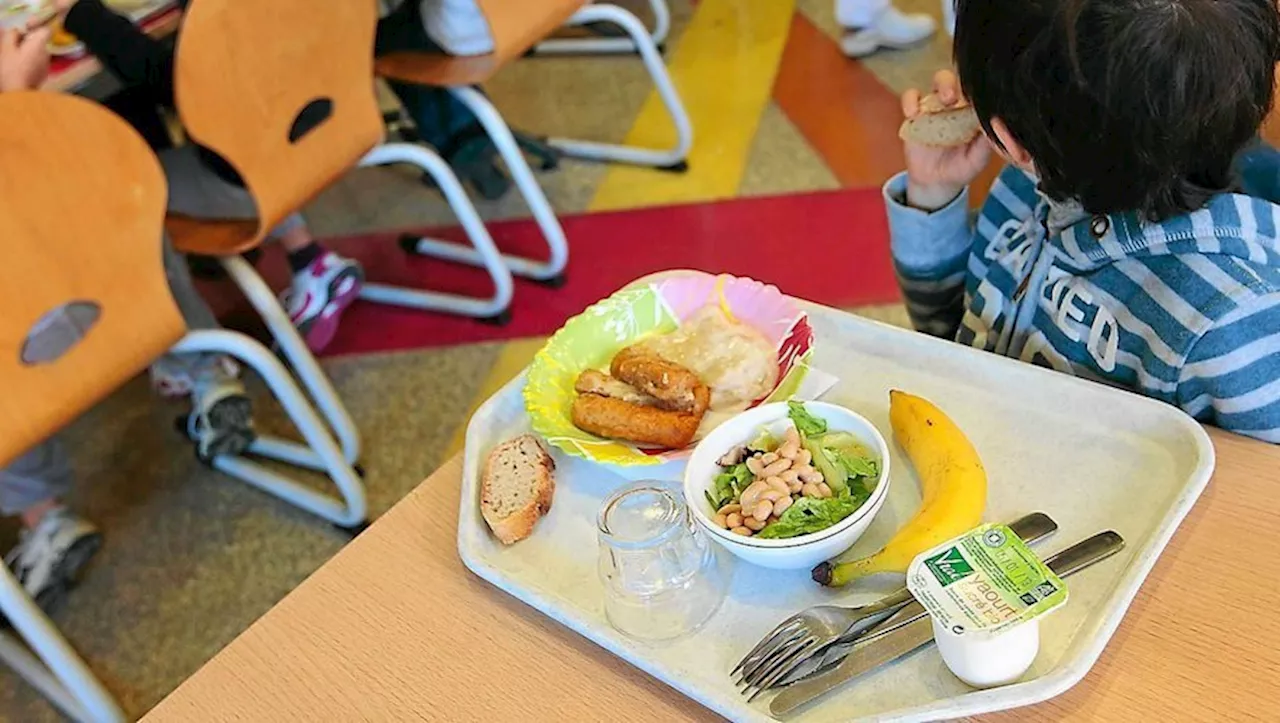 Cantine Scolaire et Allergies: Nouvelle Situation à la Sainte-Famille