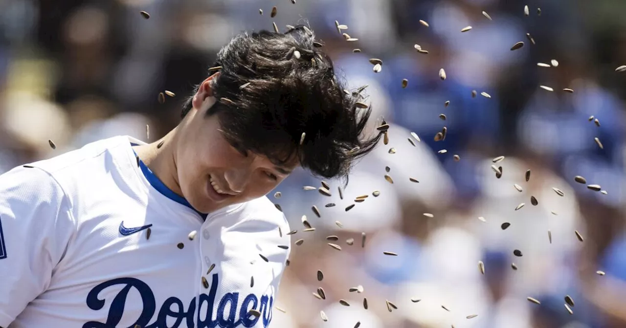 Ohtani Named AP Male Athlete of the Year for Third Time