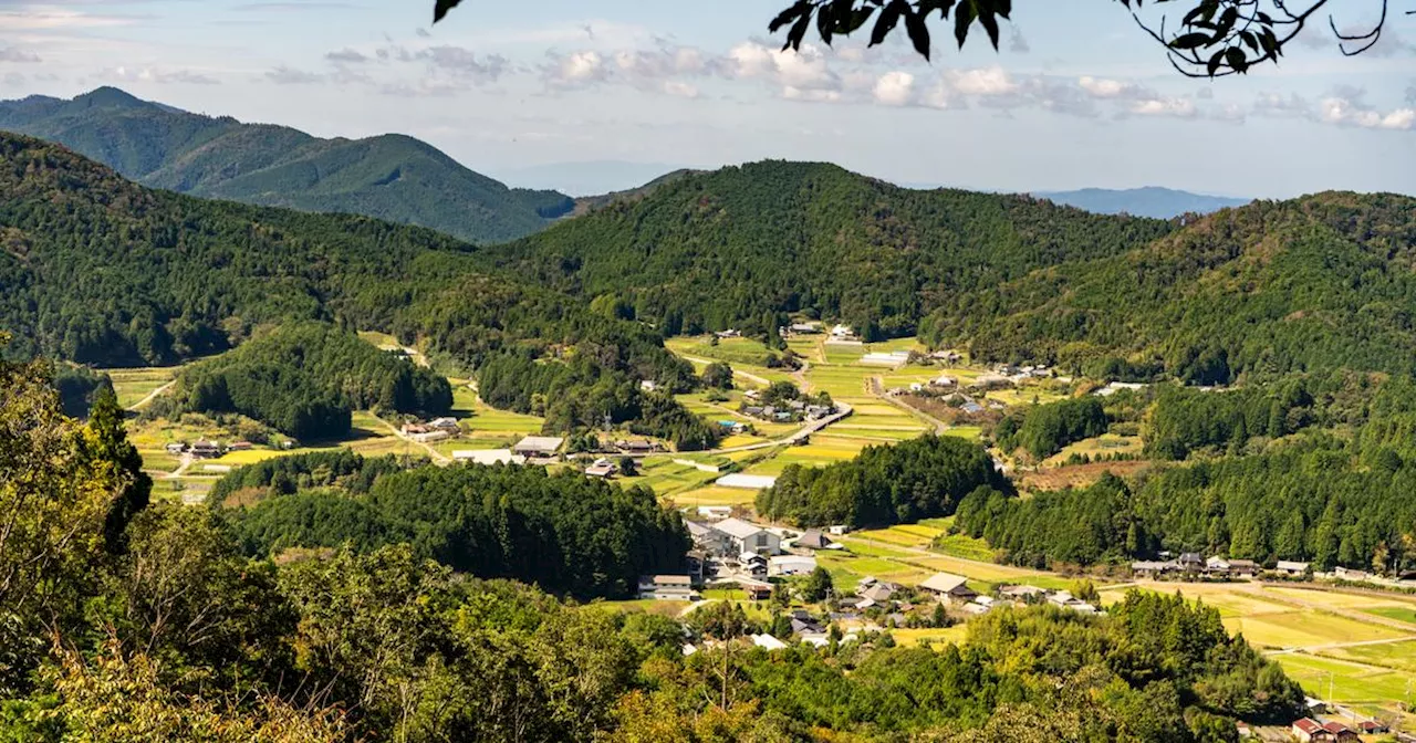 Au cœur de Koyasan, une immersion dans la prière bouddhiste