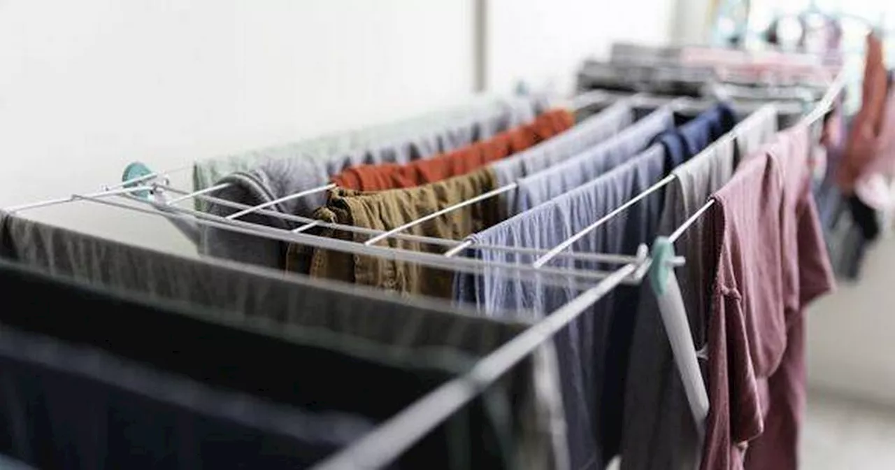 Clothes Horse Laundry Can Save UK Households £50 on Energy Bills