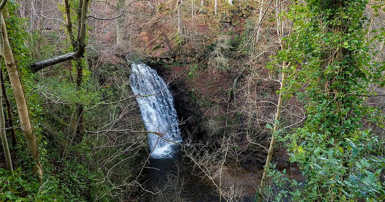 The best Yorkshire winter walks for the 2024 Christmas season