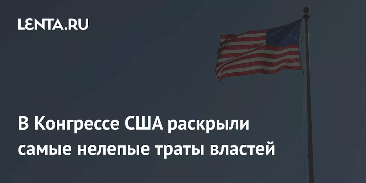 США потратили почти полмиллиона долларов на изучение наркозависимости крыс