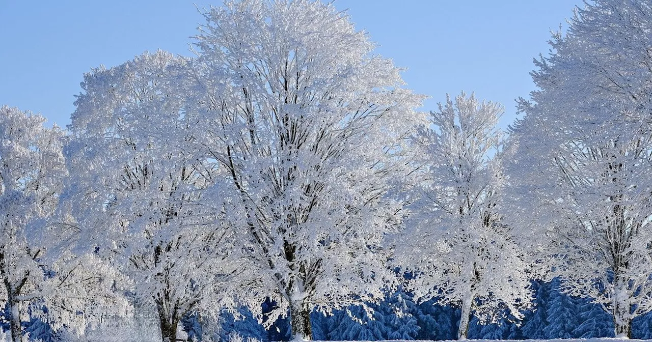 Previsioni Meteo: Inverno in Serie fino a Febbraio