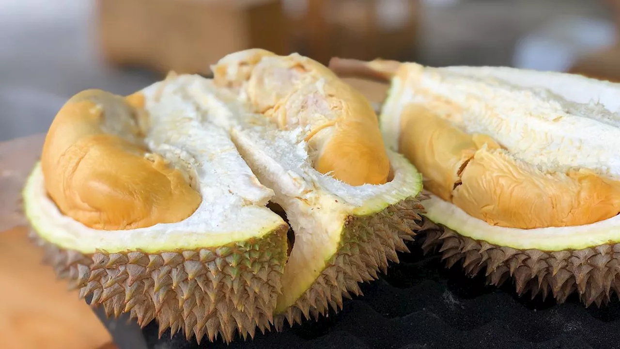 Thailand Larang Durian di Transportasi Umum