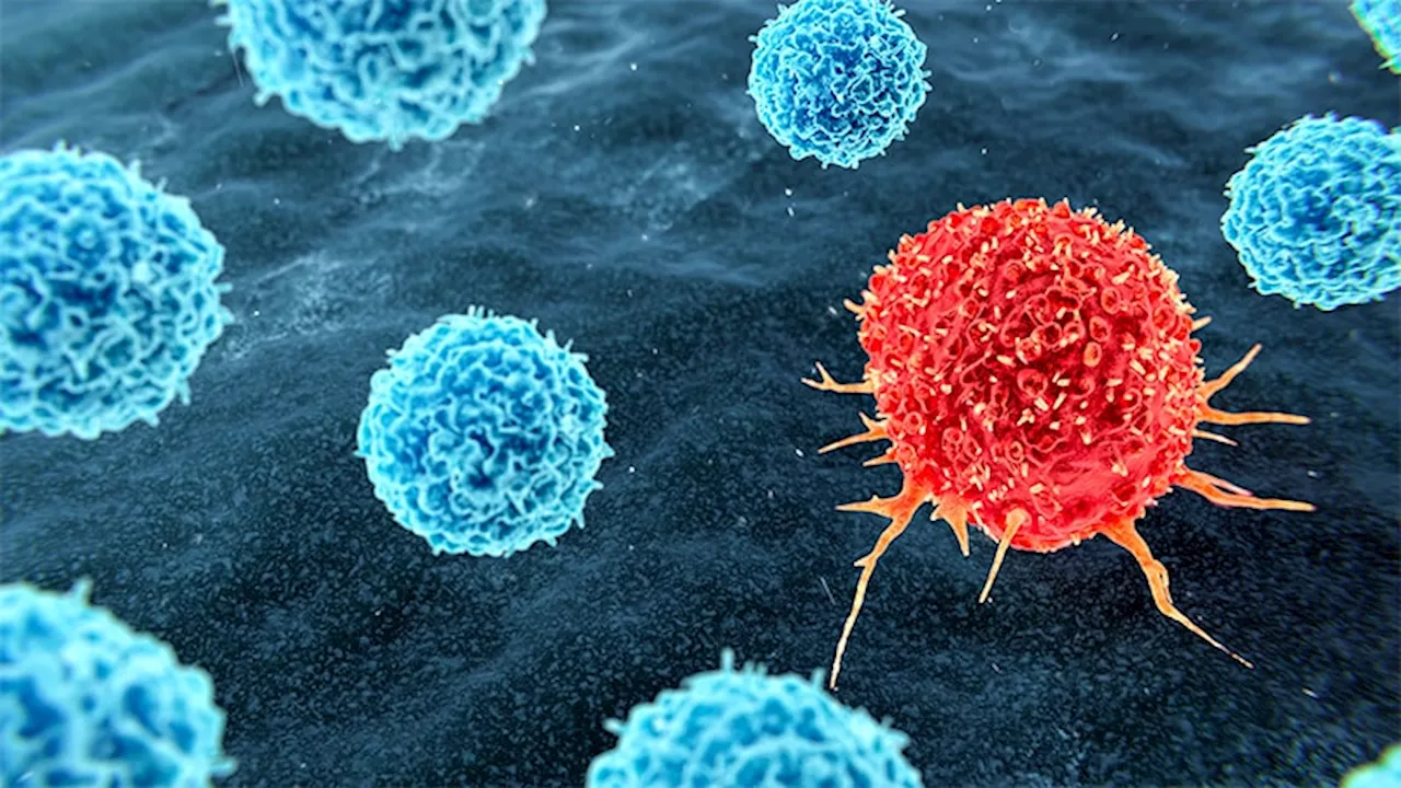 Cellular Therapies for Solid Tumors: The Next Big Thing?