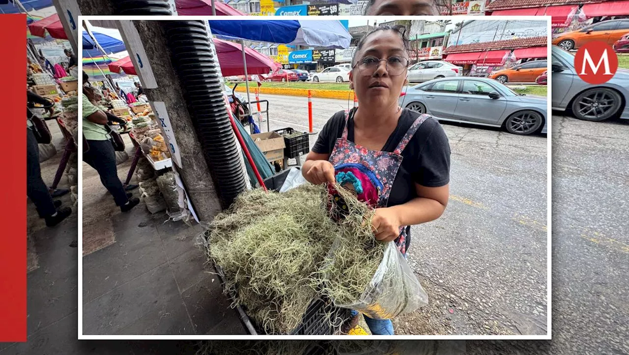 Exceso de Heno en Ciudad Madero: Tradición en Declive