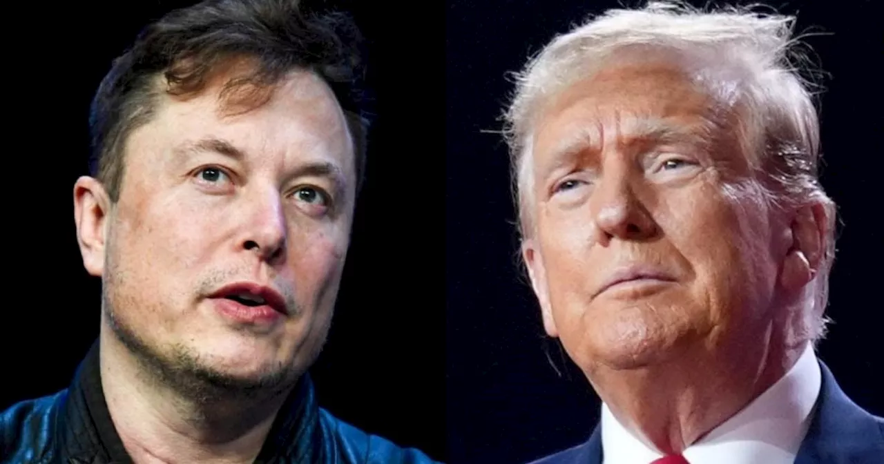 Trump Hits Back at Musk's 'Shadow President' Claims