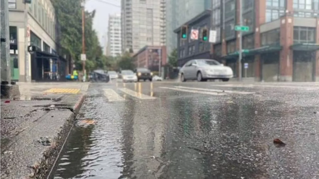 Mild, Wet Weather Expected Throughout Christmas Week in Western Washington