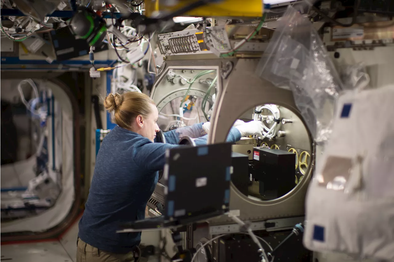 ESA Investigation Examines Solidification and Diffusion in Microgravity