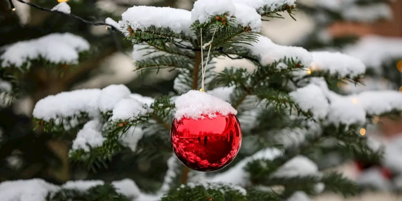 Trotz Schnee von heute: Weisse Weihnachten schmilzt uns weg!