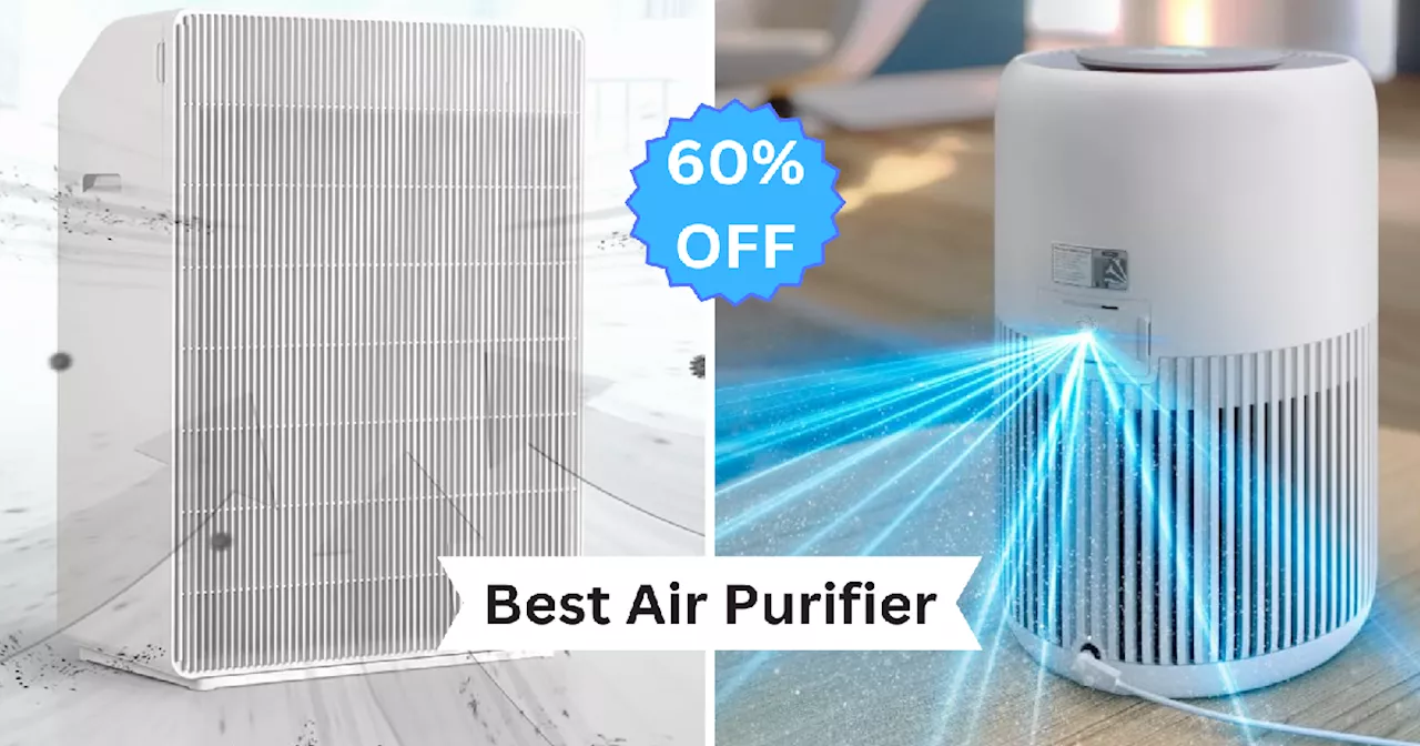 60% तक की छूट पर मिल रहे हैं Air Purifiers, नये साल के पहले स्टॉक खाली करने के लिए लाइव हुआ जबरदस्त ऑफर