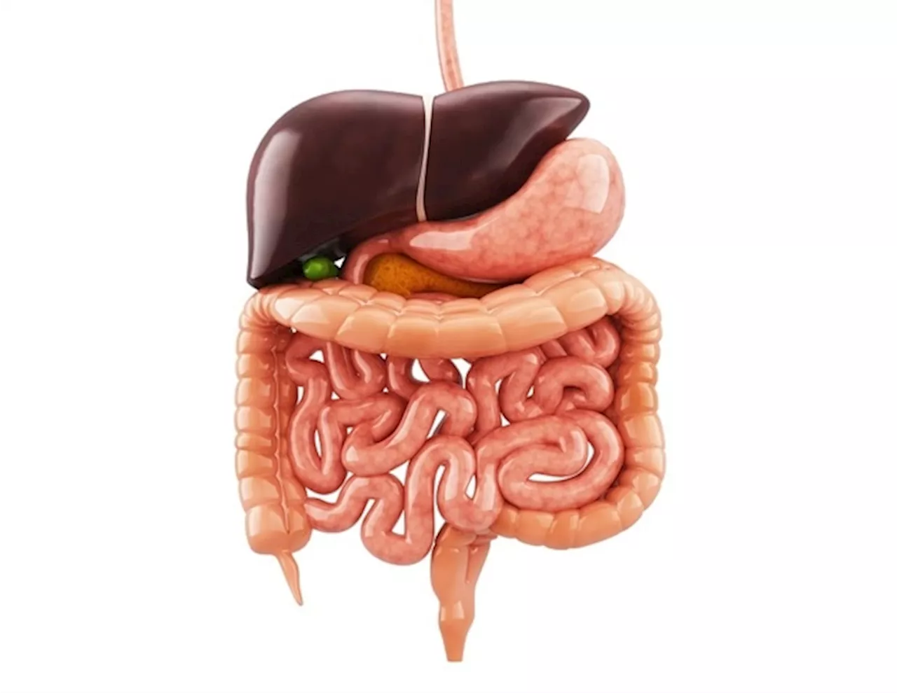 Mapping the Microbiome: Researchers Develop Personalized Nutrition Plans