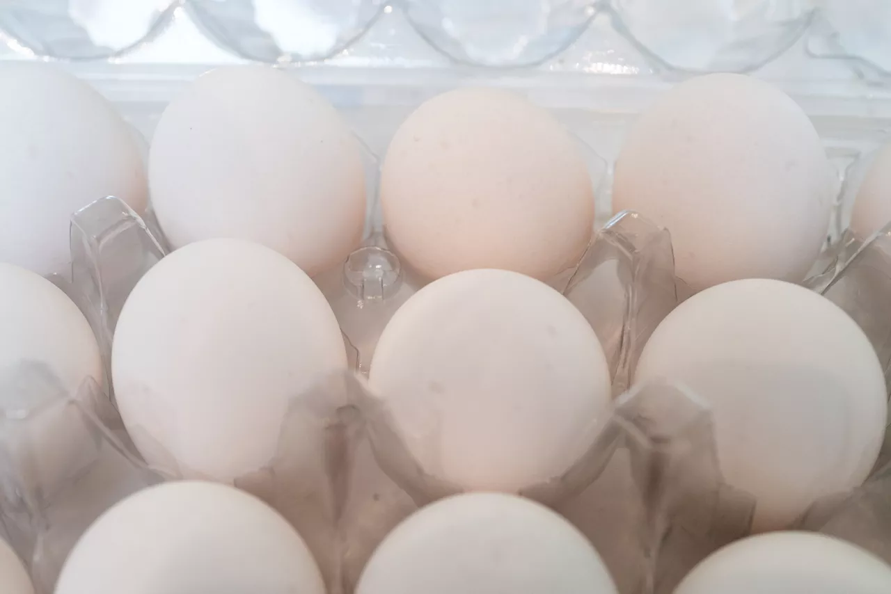 FDA Issues Most Serious Safety Classification for Egg Recall