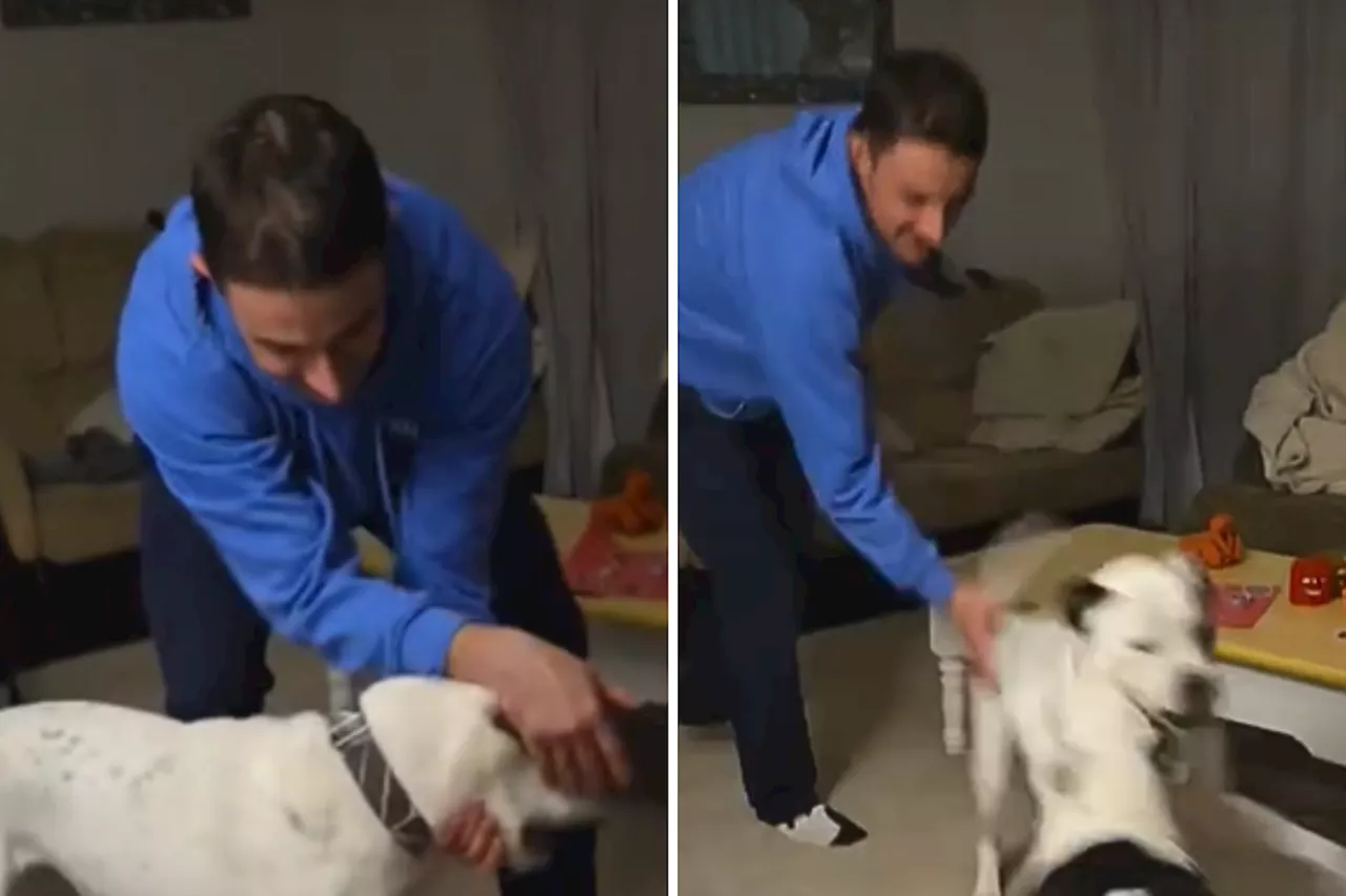 Parents Have a Rowdy Dance Party with Their Dogs After Kids Go to Grandparents