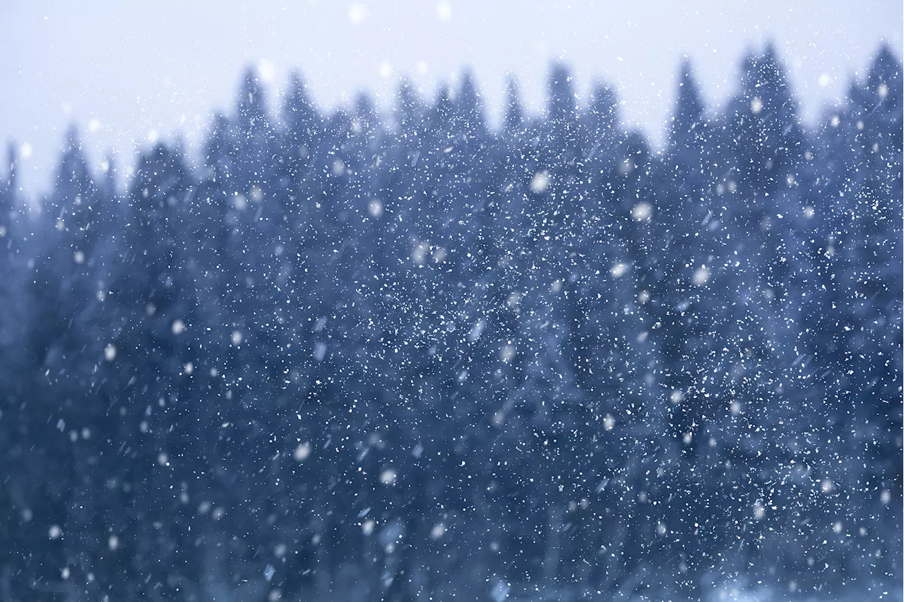 White Christmas Forecast: 22 States Likely to See Snow by December 25th