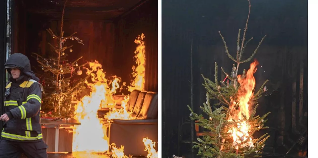 Weihnachtsbaum in Franken f&auml;ngt Feuer: Wohnhaus besch&auml;digt und zwei Verletzte