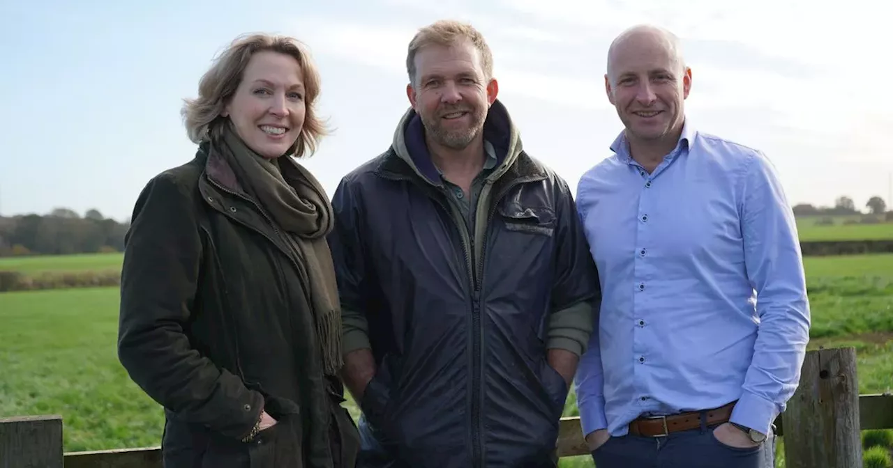 Sheep to Graze at New Solar Farm near Newark