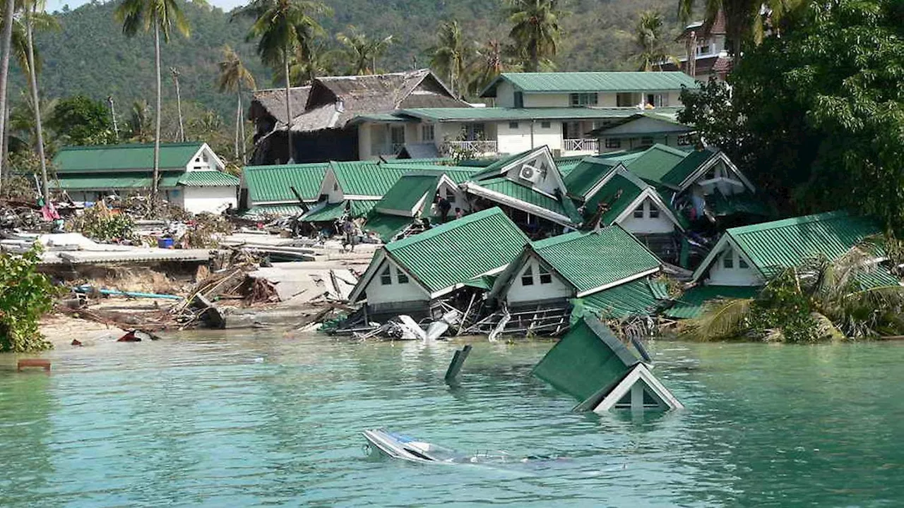 Arche Nova Mahnt Nach Tsunami-Katastrophe zu Mehr Engagement für Katastrophenvorsorge