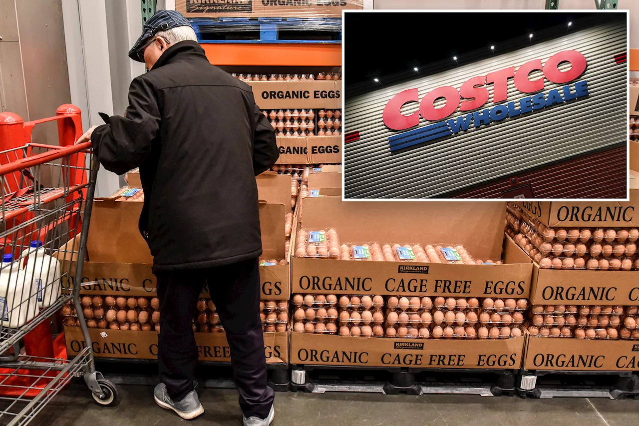 Costco Issues Class 1 Recall for Organic Pasture-Raised Eggs Due to Salmonella Concerns