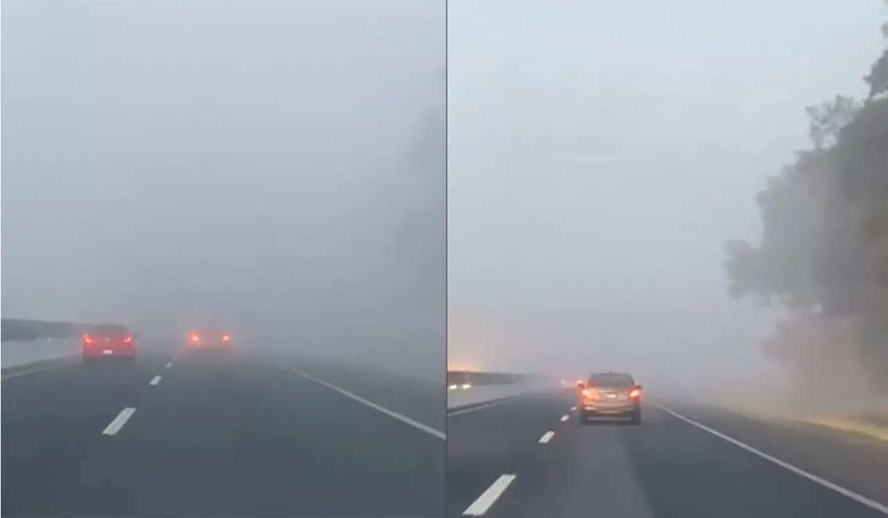 Neblina en la autopista Celaya-Salamanca causa precaución entre conductores